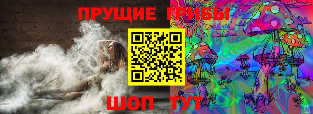 Большой Камень  Псилоцибиновые грибы Psilocybe  Вход с VPN 