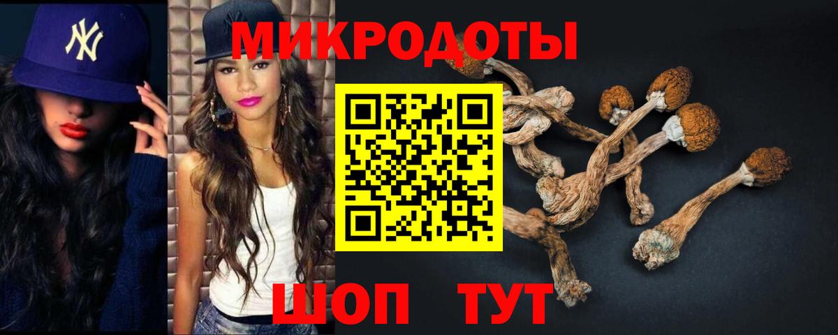 Псилоцибиновые грибы Cubensis Большой Камень